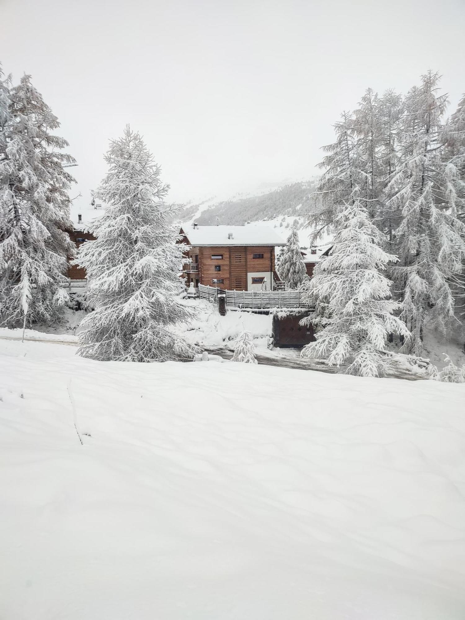 Nix & Nivis Livigno
